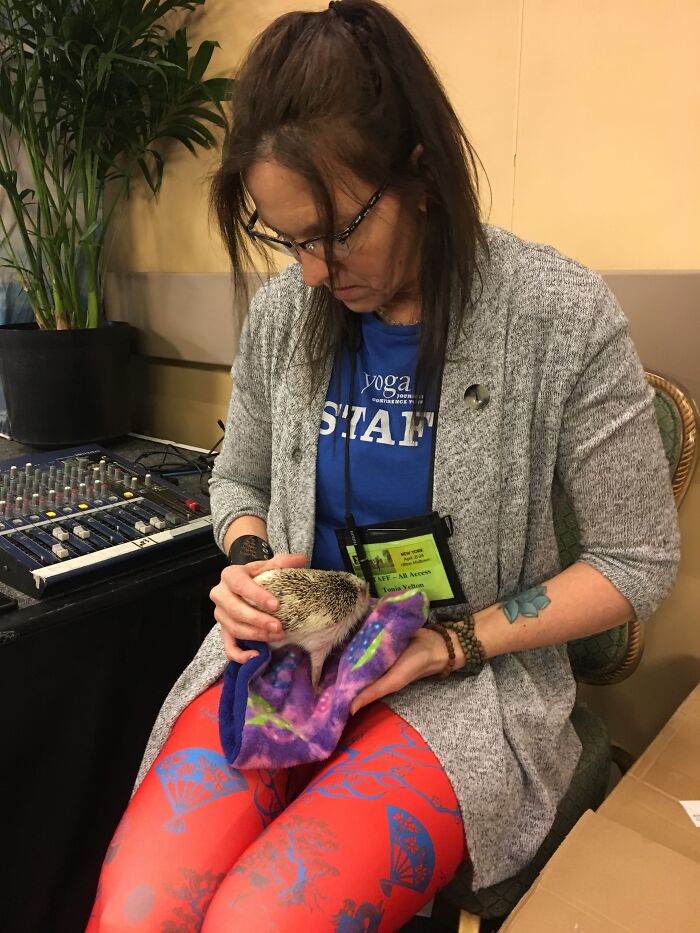 Wait, They Actually Snapped These Hedgehogs Doing Life?