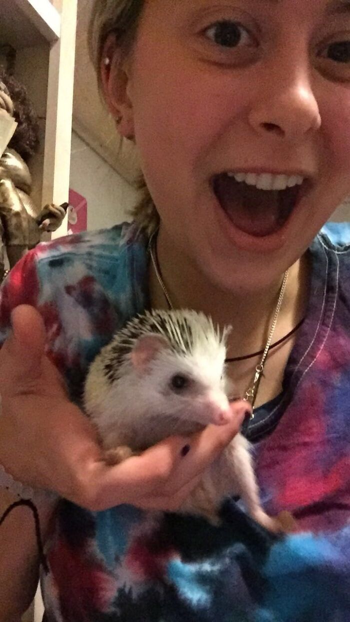 Wait, They Actually Snapped These Hedgehogs Doing Life?