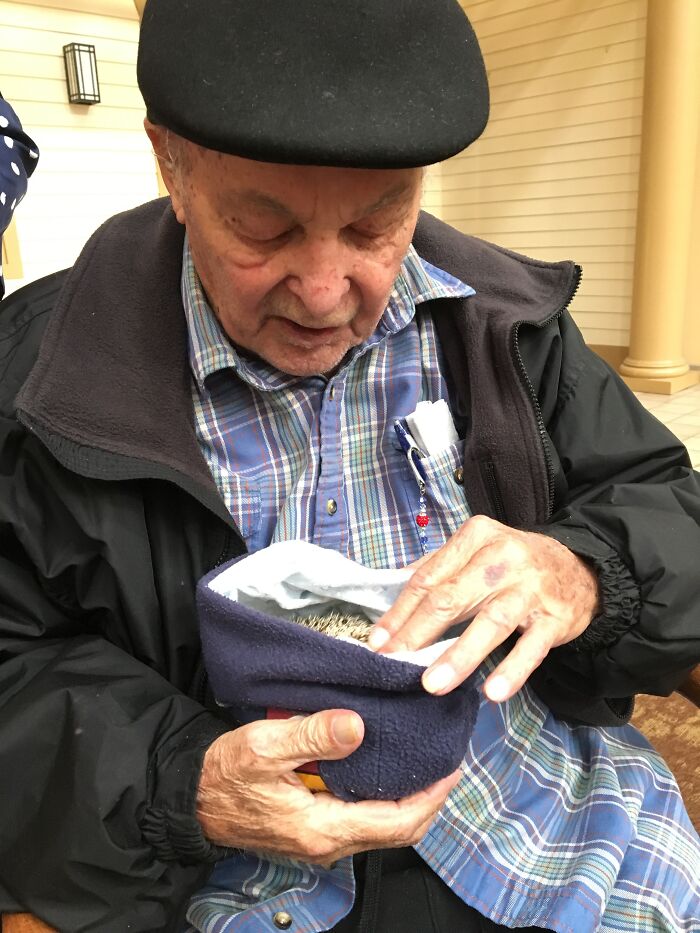 Wait, They Actually Snapped These Hedgehogs Doing Life?