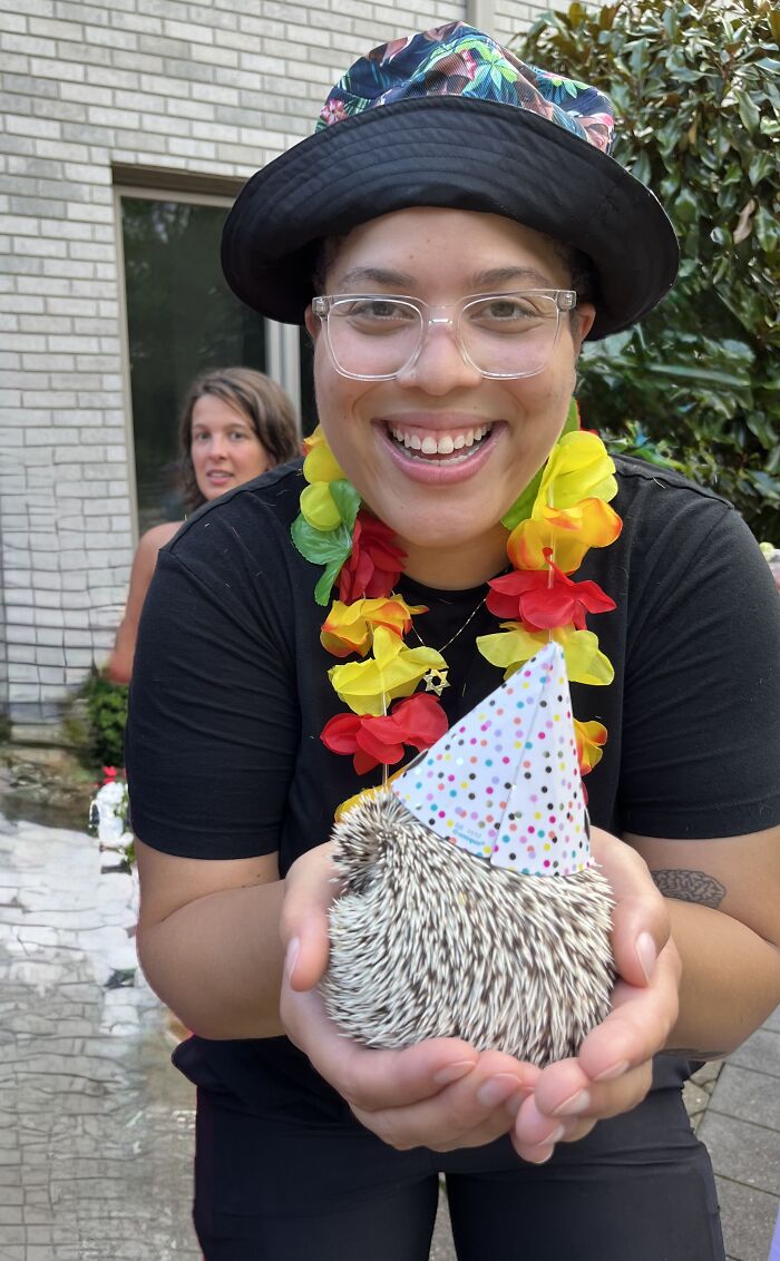 Wait, They Actually Snapped These Hedgehogs Doing Life?