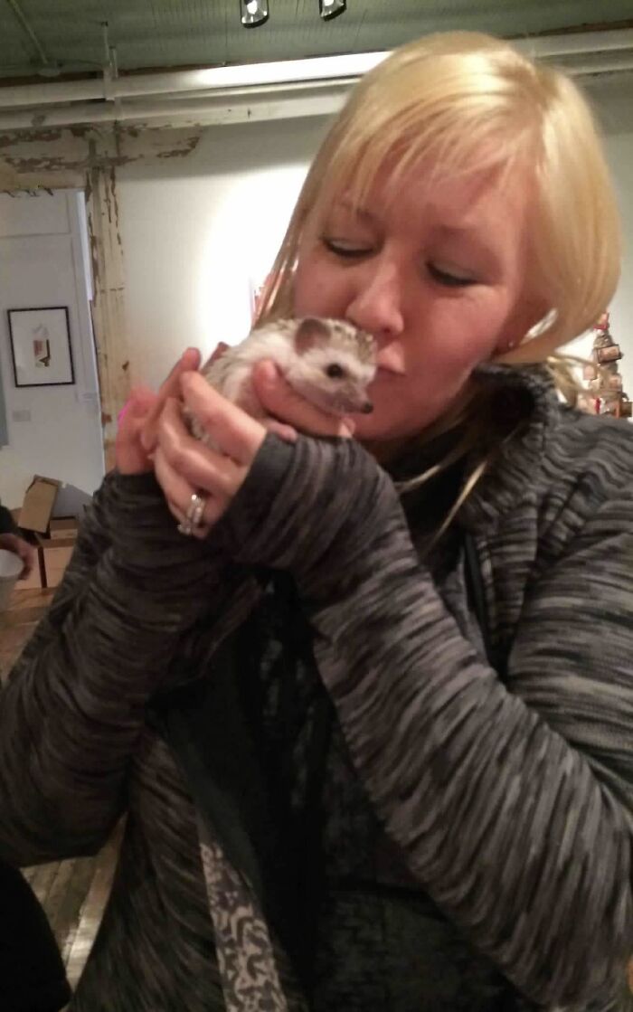 Wait, They Actually Snapped These Hedgehogs Doing Life?