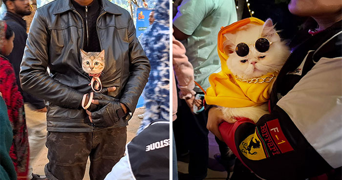 Pet Party Alert: Dhaka’s Paw Carnival Was a Total Blast!