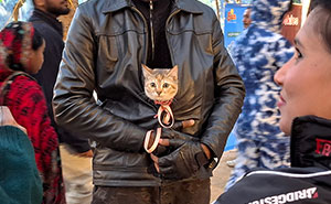 Pet Party Alert: Dhaka’s Paw Carnival Was a Total Blast!