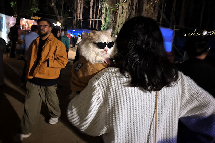 Pet Party Alert: Dhaka’s Paw Carnival Was a Total Blast!