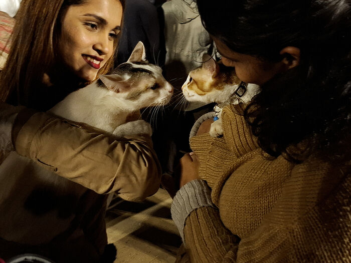 Pet Party Alert: Dhaka’s Paw Carnival Was a Total Blast!