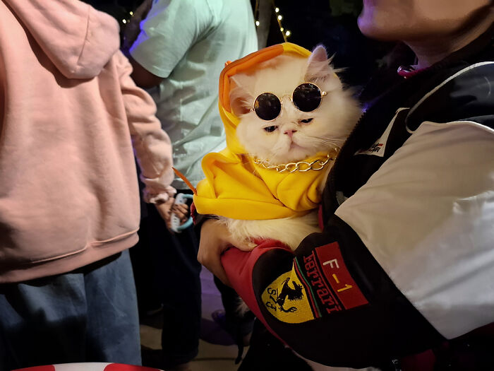 Pet Party Alert: Dhaka’s Paw Carnival Was a Total Blast!