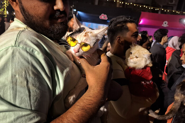 Pet Party Alert: Dhaka’s Paw Carnival Was a Total Blast!