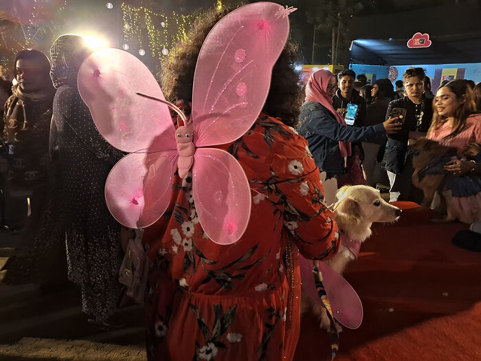 Pet Party Alert: Dhaka’s Paw Carnival Was a Total Blast!