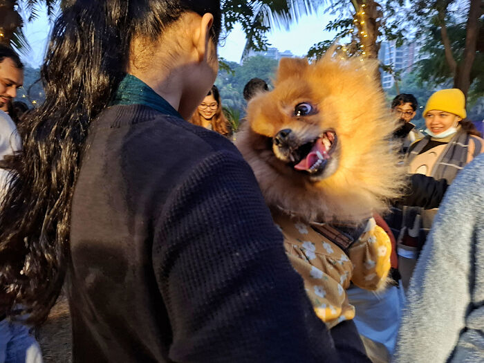 Pet Party Alert: Dhaka’s Paw Carnival Was a Total Blast!