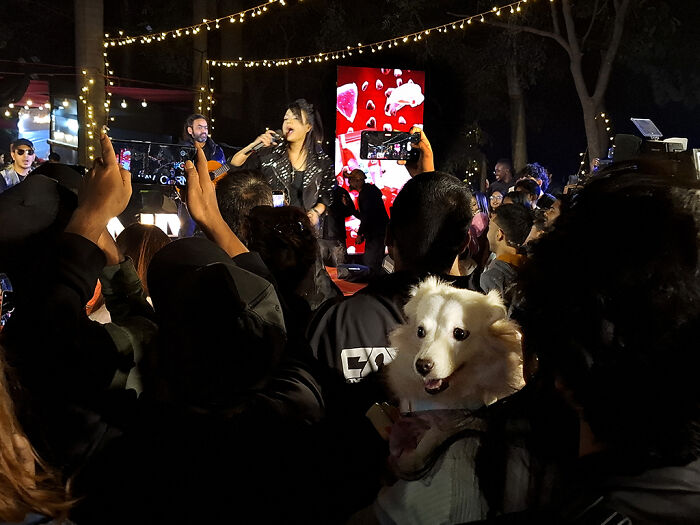 Pet Party Alert: Dhaka’s Paw Carnival Was a Total Blast!