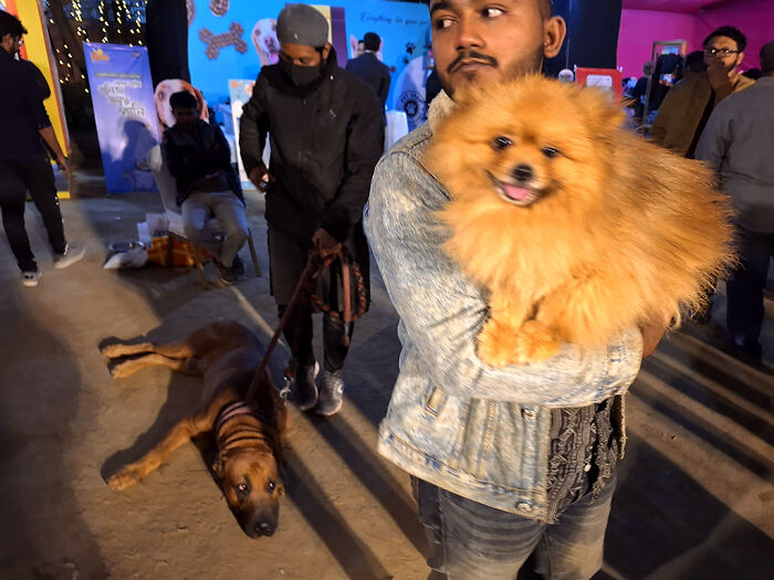 Pet Party Alert: Dhaka’s Paw Carnival Was a Total Blast!