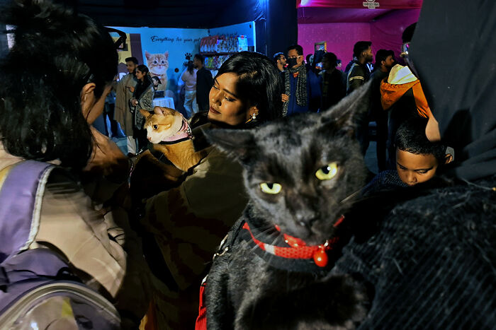 Pet Party Alert: Dhaka’s Paw Carnival Was a Total Blast!