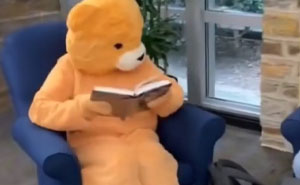 126 College Memes That Will Totally Make You Say, 