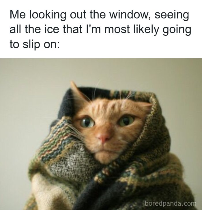 126 College Memes That Will Totally Make You Say, "Been There!"