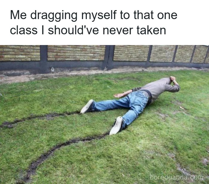 126 College Memes That Will Totally Make You Say, "Been There!"
