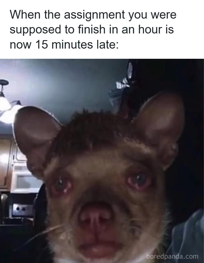 126 College Memes That Will Totally Make You Say, "Been There!"