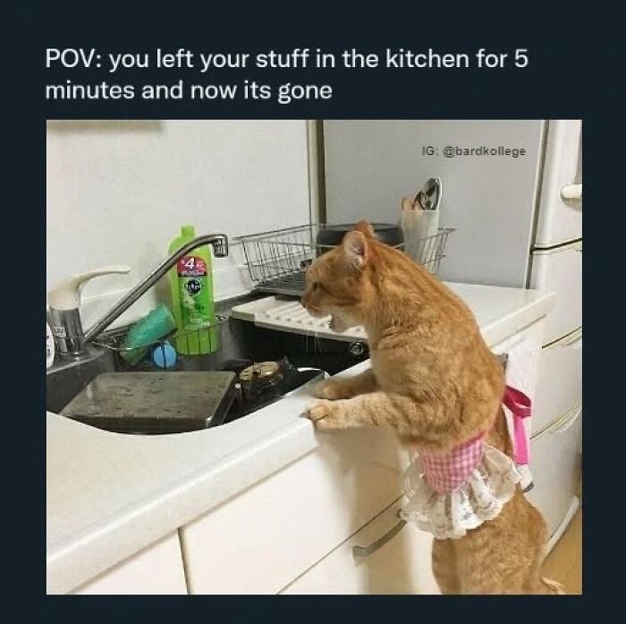 126 College Memes That Will Totally Make You Say, "Been There!"