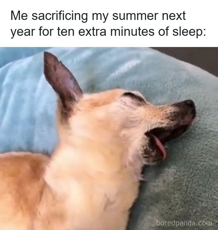 126 College Memes That Will Totally Make You Say, "Been There!"