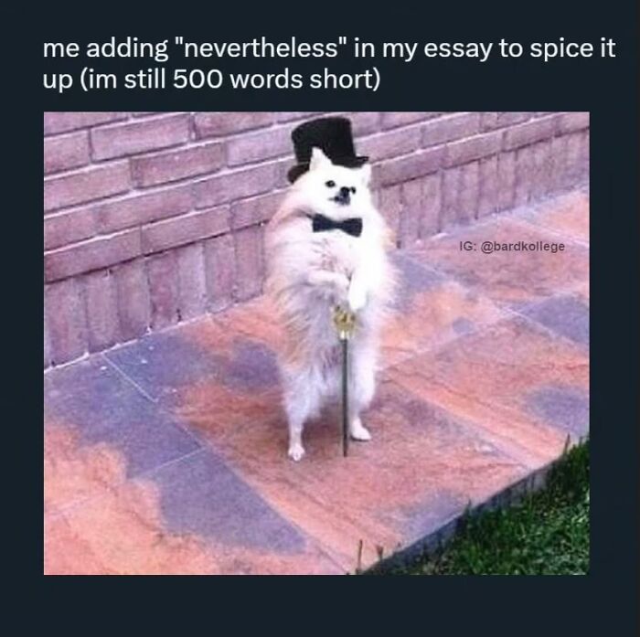 126 College Memes That Will Totally Make You Say, "Been There!"