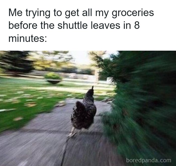 126 College Memes That Will Totally Make You Say, "Been There!"