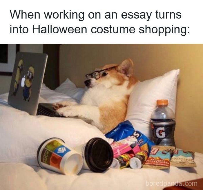 126 College Memes That Will Totally Make You Say, "Been There!"