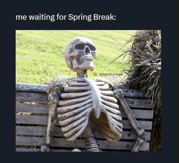 126 College Memes That Will Totally Make You Say, "Been There!"