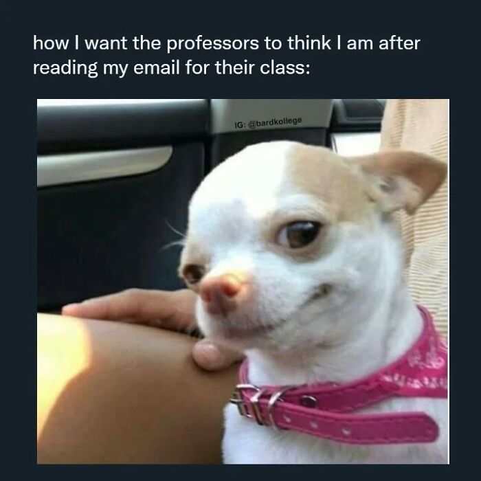 126 College Memes That Will Totally Make You Say, "Been There!"