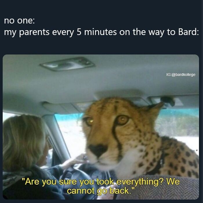 126 College Memes That Will Totally Make You Say, "Been There!"