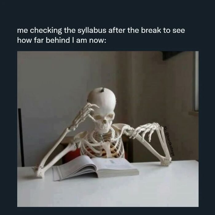 126 College Memes That Will Totally Make You Say, "Been There!"