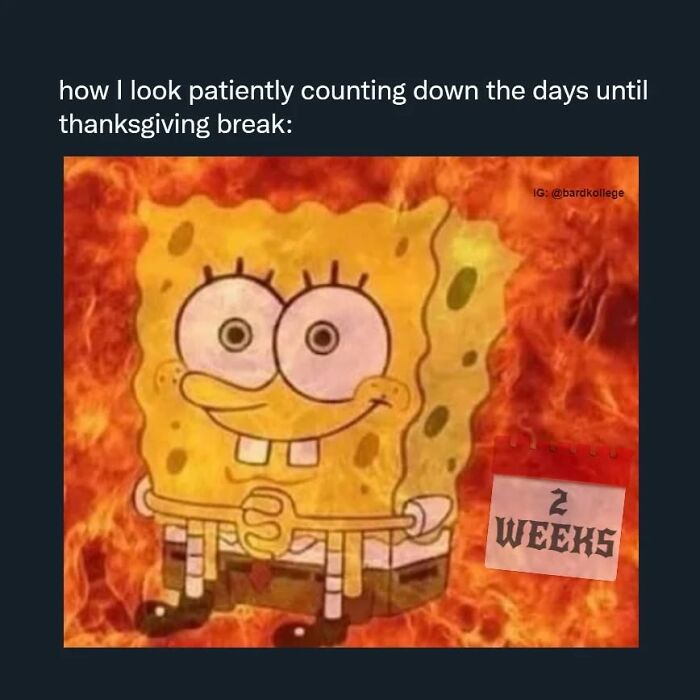 126 College Memes That Will Totally Make You Say, "Been There!"