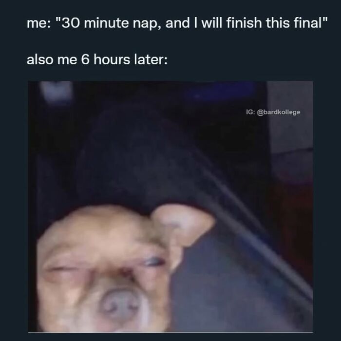 126 College Memes That Will Totally Make You Say, "Been There!"