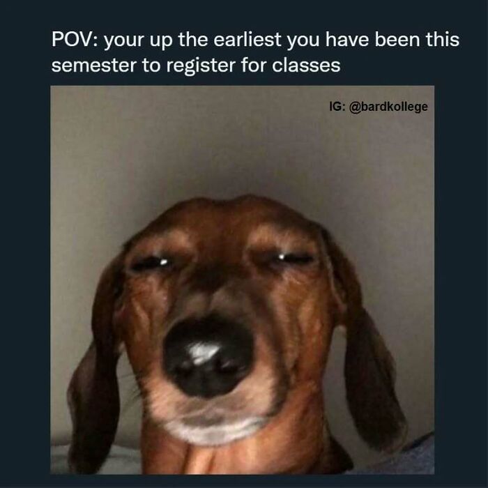 126 College Memes That Will Totally Make You Say, "Been There!"