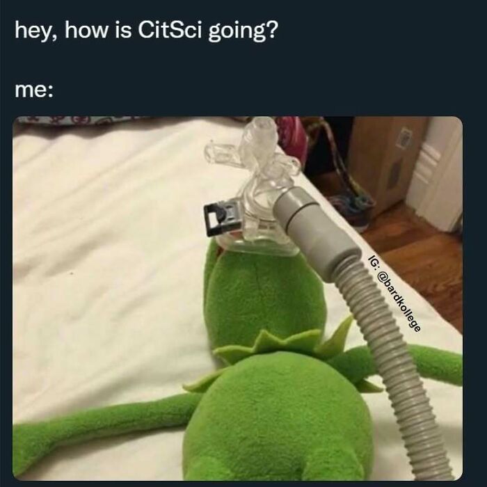 126 College Memes That Will Totally Make You Say, "Been There!"