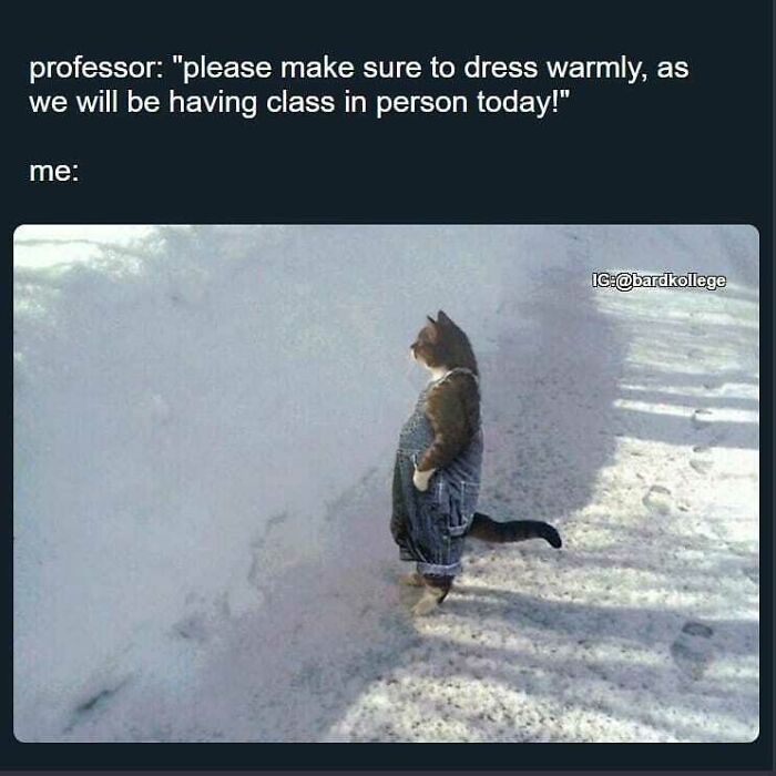 126 College Memes That Will Totally Make You Say, "Been There!"