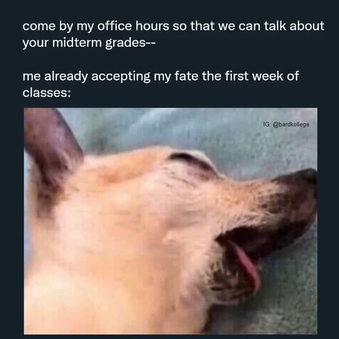 126 College Memes That Will Totally Make You Say, "Been There!"