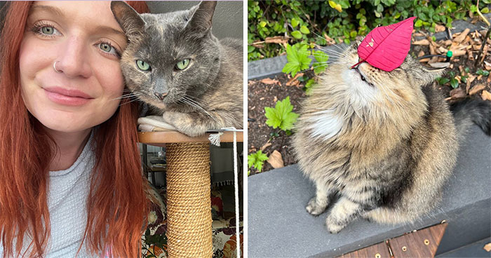 Yep, She’s Still Traveling the World—But Now She’s Bossing Cats Instead of Hotels