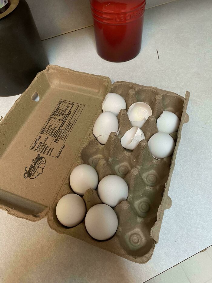 Mildly Annoyed at How He 'Rescued' Eggs Instead of Throwing Them Out