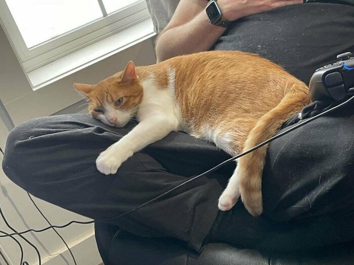 Wait Till You See How These Lazy Husbands Redefined 'Helping Out'