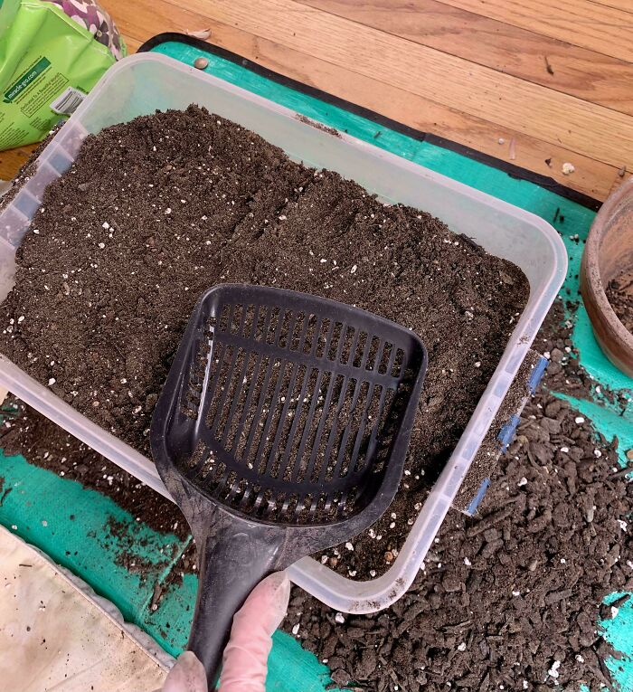 Gardeners, Meet Your New Best Friend: The Litter Scoop Soil Fix