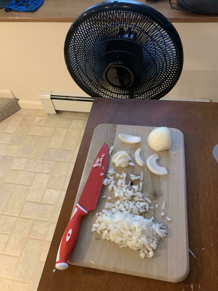 Fan + Onion = No More Tears. Science-ish.
