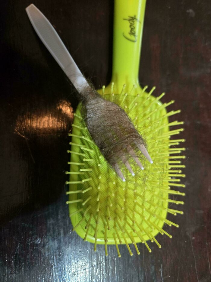 13-Year-Old’s Simple Fork Hack To Clean Hair Brushes
