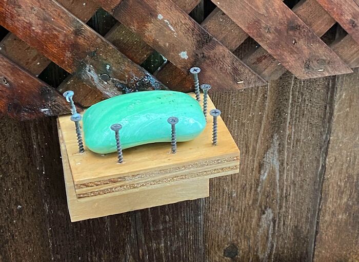 Soap Holder Hack Found At A Friend’s Place