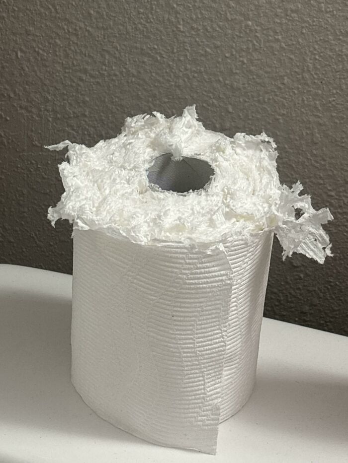 Oops! Roommate Bought Paper Towels Instead Of Toilet Paper. What Now?