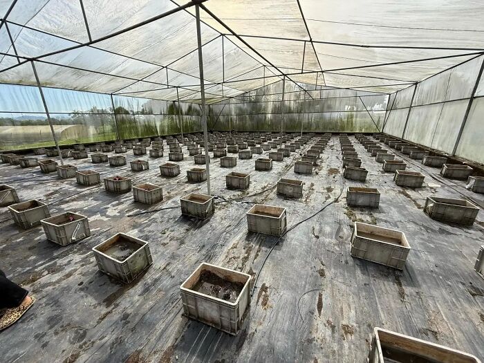 Why Some Ladies Skip Manicures (And No, It’s Not Because They Hate Pretty Nails)