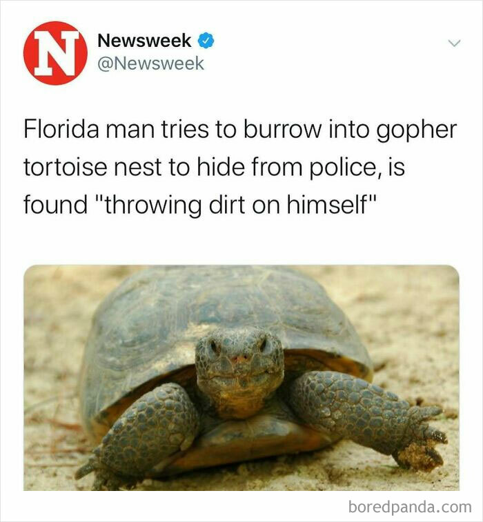 Wait, Florida Men? The Most Outrageous News You Won't Believe Happened!