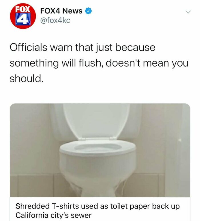 Wait, Florida Men? The Most Outrageous News You Won't Believe Happened!