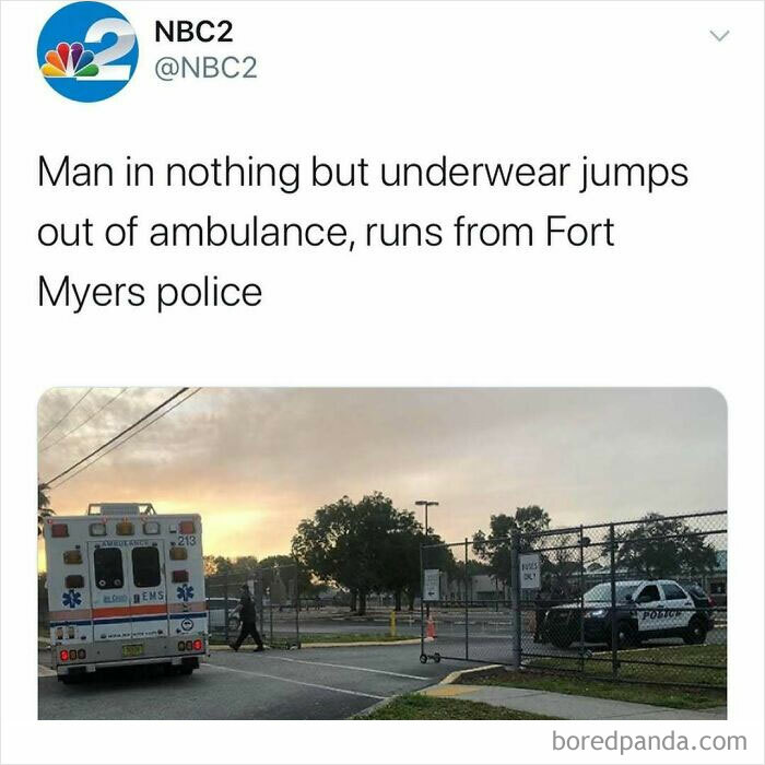Wait, Florida Men? The Most Outrageous News You Won't Believe Happened!