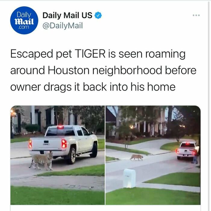 Wait, Florida Men? The Most Outrageous News You Won't Believe Happened!