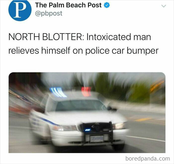 Wait, Florida Men? The Most Outrageous News You Won't Believe Happened!
