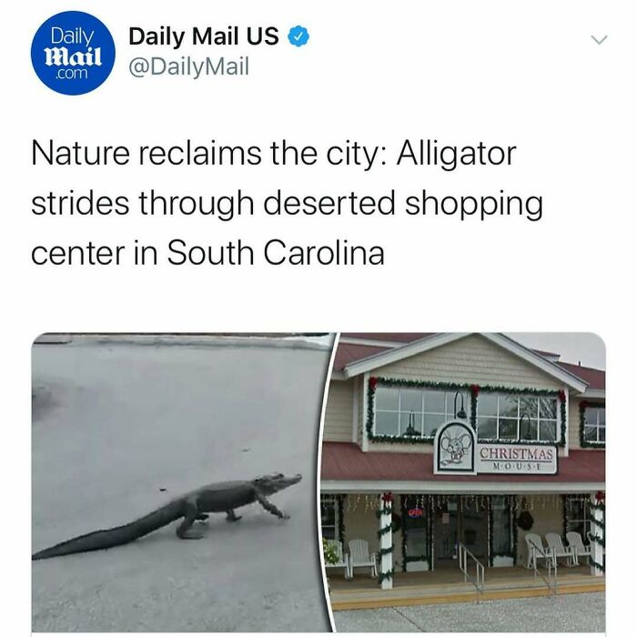 Wait, Florida Men? The Most Outrageous News You Won't Believe Happened!